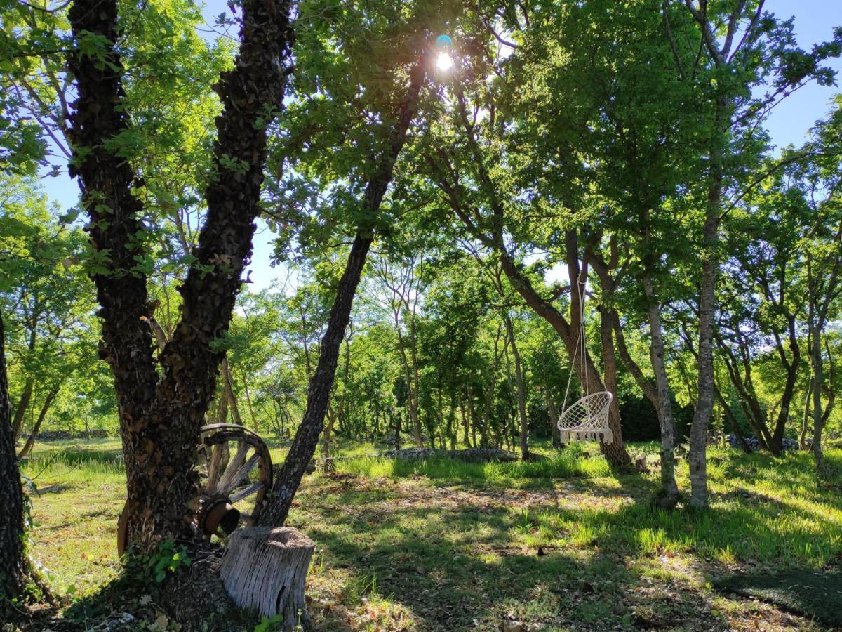 Zen Promona Villa Puljane ภายนอก รูปภาพ